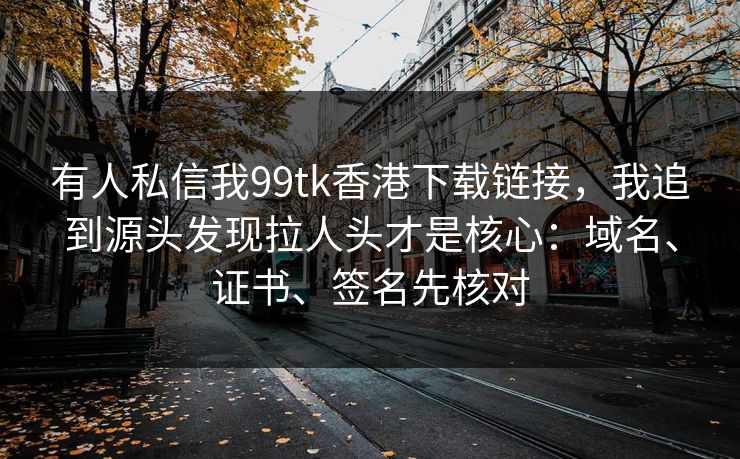 有人私信我99tk香港下载链接，我追到源头发现拉人头才是核心：域名、证书、签名先核对