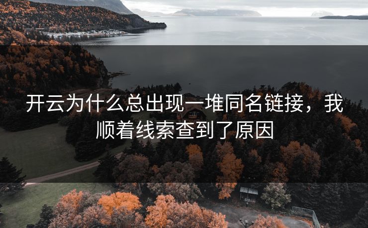 开云为什么总出现一堆同名链接，我顺着线索查到了原因